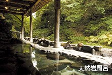 鷹泉閣 岩松旅館の写真3