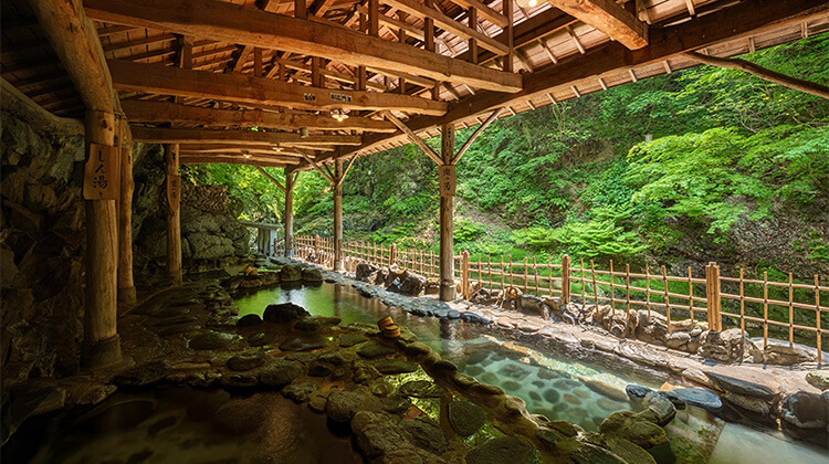 Yosenkaku Iwamatsu Ryokan